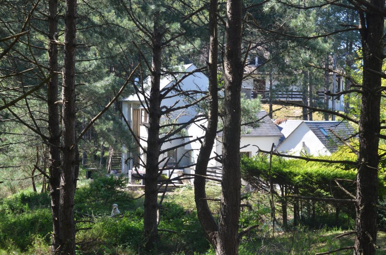 La Villa Dans Les Pins Quend Zewnętrze zdjęcie