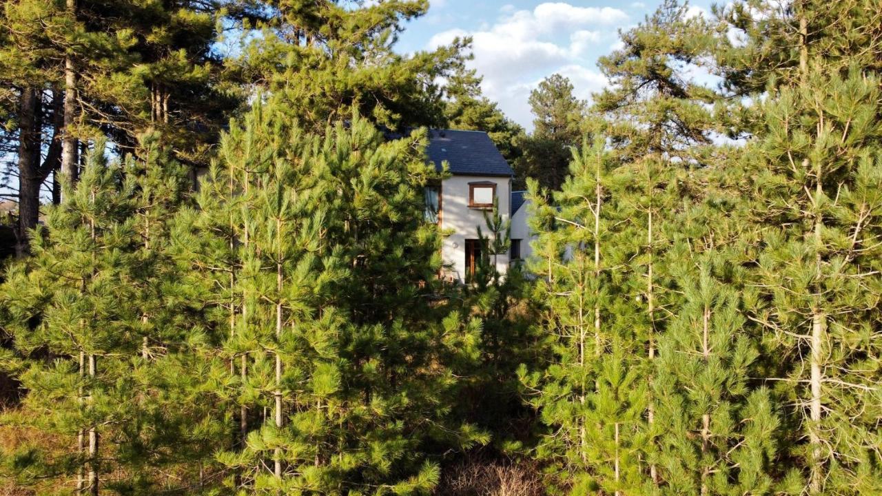 La Villa Dans Les Pins Quend Zewnętrze zdjęcie