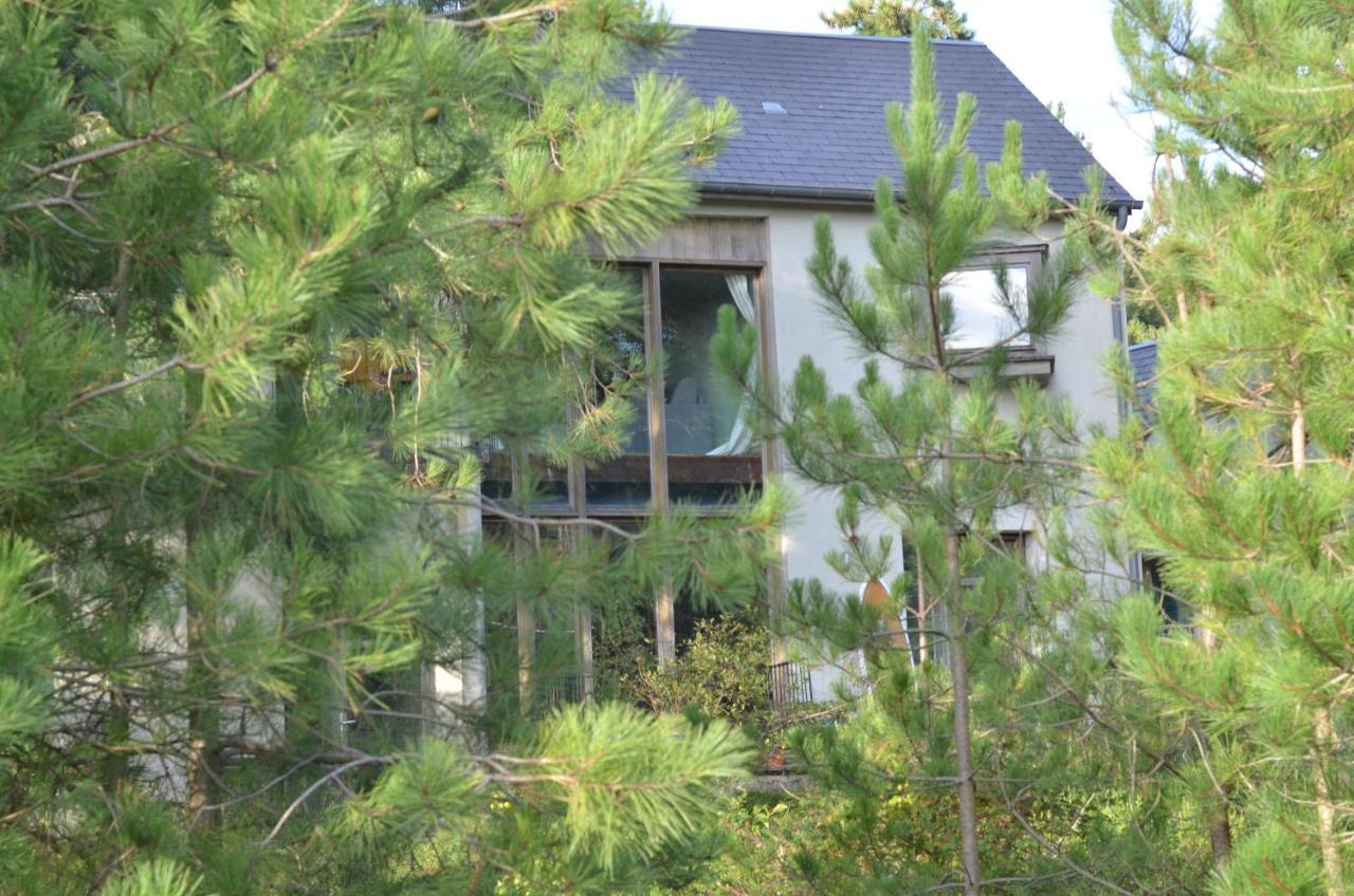 La Villa Dans Les Pins Quend Zewnętrze zdjęcie