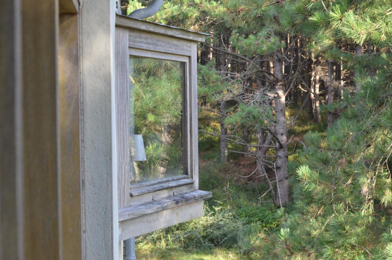 La Villa Dans Les Pins Quend Zewnętrze zdjęcie
